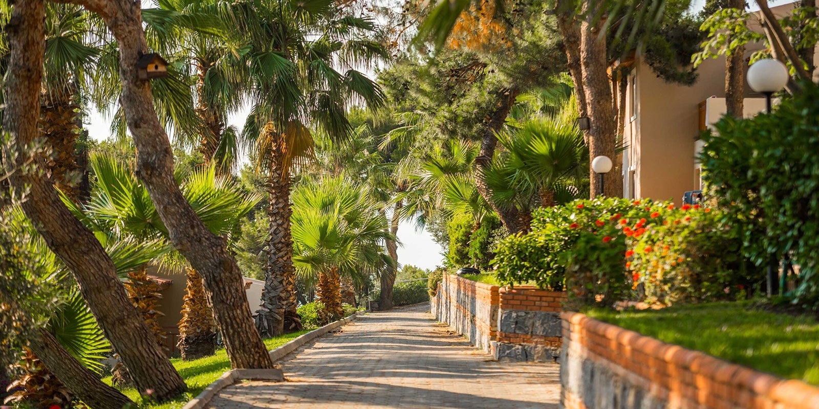 Pine Bay Holiday Resort — Palmiyeler arasında